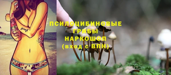 твердый Приозерск