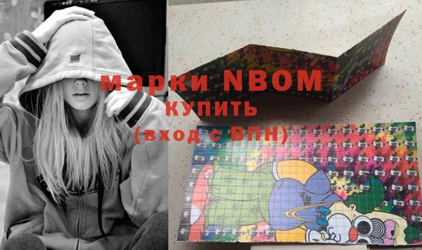 крисы Ростов