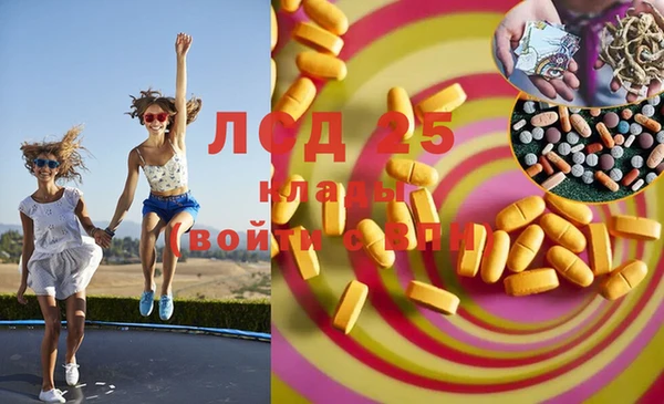 крисы Ростов