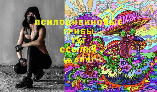винт Пролетарск