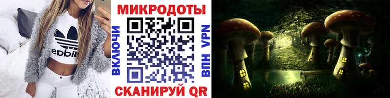 ссылка на мегу маркетплейс  Гусиноозёрск  Псилоцибиновые грибы Magic Shrooms  где продают наркотики 